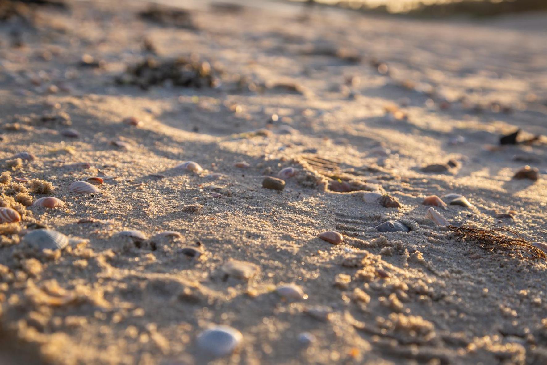 Wohnen Am Suedstrand - Ferienwohnung 1 5 Wyk auf Fohr Bagian luar foto